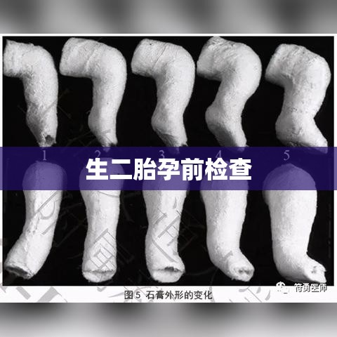 生二胎前的孕前检查，为何对生育二胎至关重要？  第1张