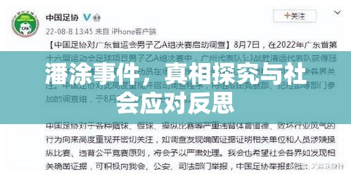 潘涂事件，真相探究与社会应对反思  第1张