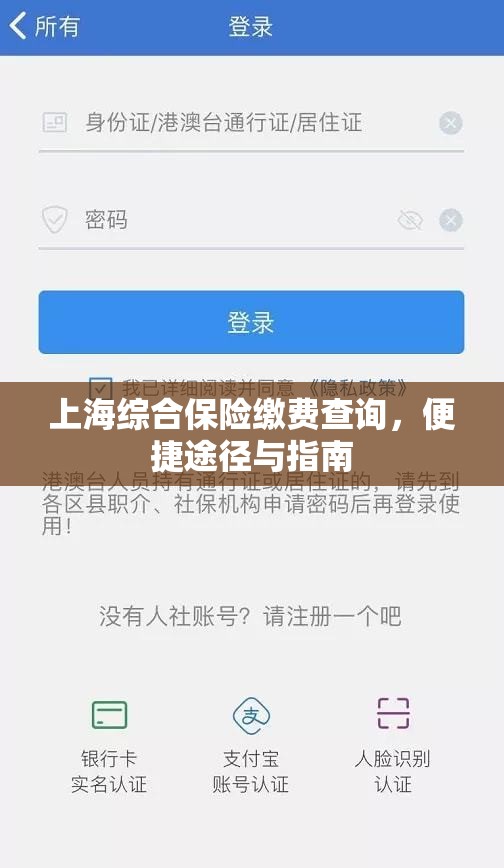 上海综合保险缴费查询，便捷途径与指南  第1张