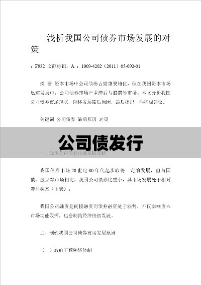 公司债发行，融资策略与市场动态分析  第1张