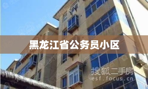 黑龙江省公务员小区，现代城市公务员温馨家园  第1张