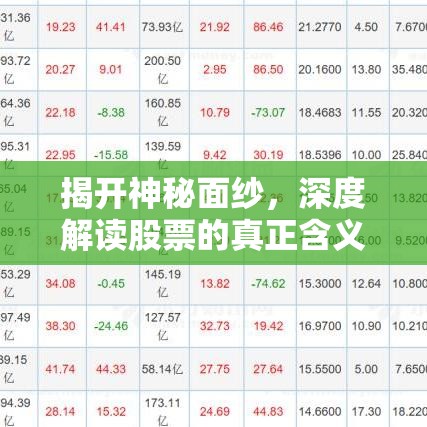 揭开神秘面纱，深度解读股票的真正含义  第1张