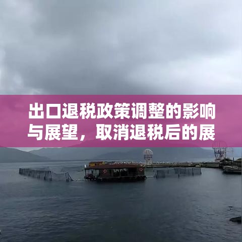 出口退税政策调整的影响与展望，取消退税后的展望与应对  第1张