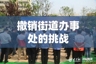 撤销街道办事处，城市治理的新探索与挑战及其挑战  第1张