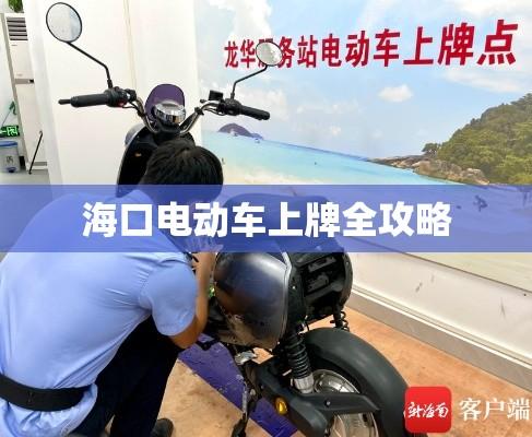 海口电动车上牌全攻略  第1张