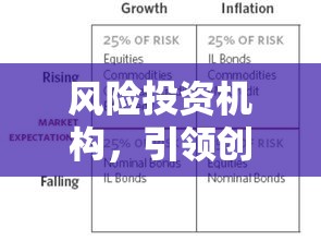 风险投资机构，引领创新与发展的核心驱动力  第1张