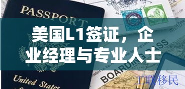 美国L1签证，企业经理与专业人士的优选移民途径  第1张