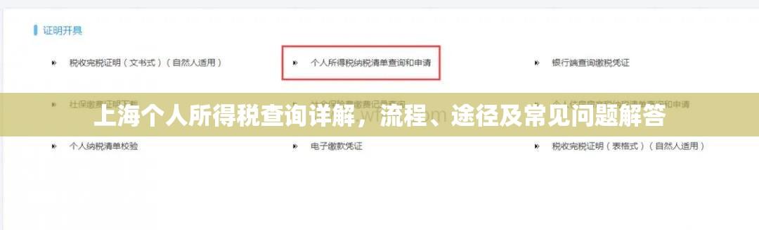 上海个人所得税查询详解，流程、途径及常见问题解答  第1张