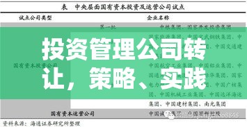 投资管理公司转让，策略、实践及未来展望  第1张