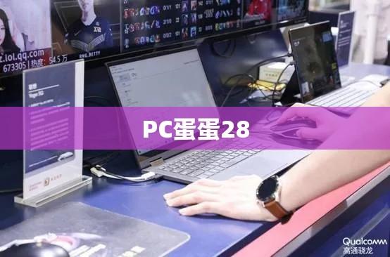 PC蛋蛋28，数字时代的全新探索体验  第1张