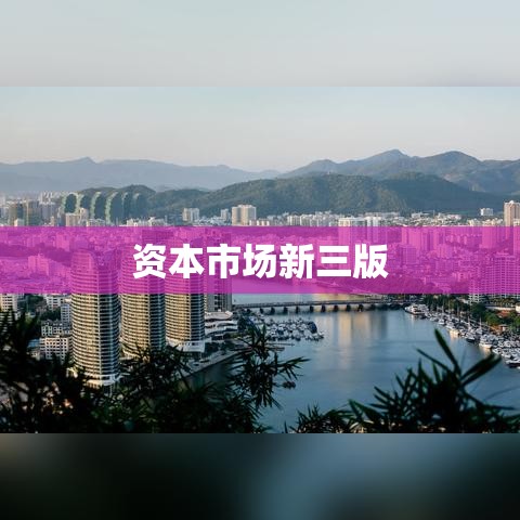 资本市场新三版，助推企业飞跃发展的引擎  第1张