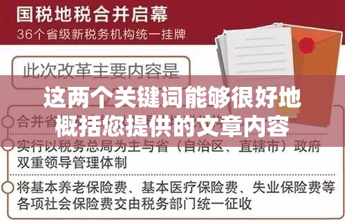 国税法规库构建与完善的重要性及其深远影响  第1张