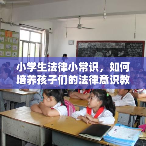 小学生法律小常识，如何培养孩子们的法律意识教育的重要性  第1张