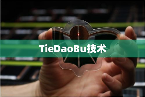 TieDaoBu技术的潜力与挑战探索  第1张