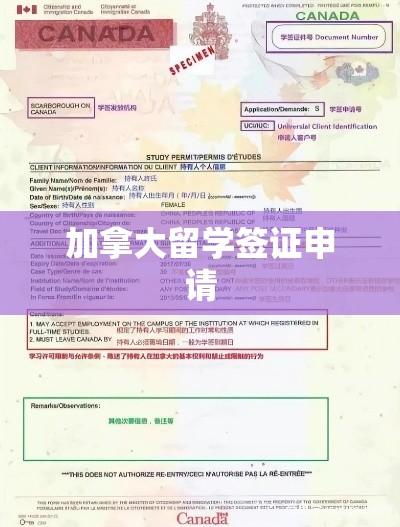 加拿大留学签证申请全解析指南  第1张