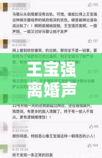 王宝强离婚声明，时代情感波折下的公众人物责任感探讨  第1张