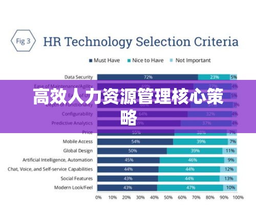 人事代理，构建高效人力资源管理的核心策略  第1张