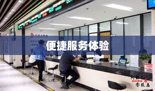 上海公积金查询，便捷高效的服务体验  第1张