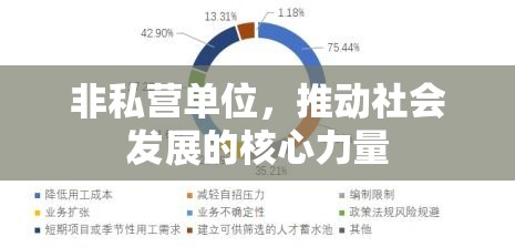 非私营单位，推动社会发展的核心力量  第1张