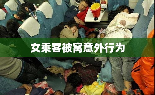 男子火车上的惊人举动，钻进女乘客被窝的意外行为  第1张