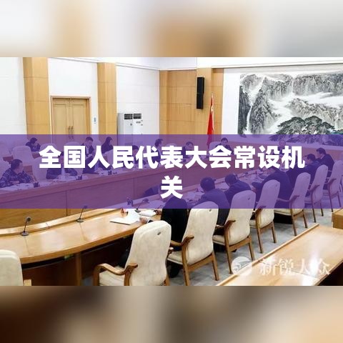 全国人民代表大会常设机关的重要性与职能解析  第1张