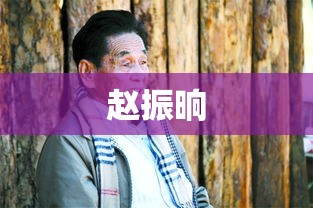 赵振晌，传奇人生与时代印记的交融  第1张