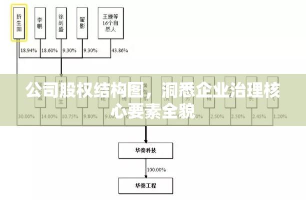 公司股权结构图，洞悉企业治理核心要素全貌  第1张