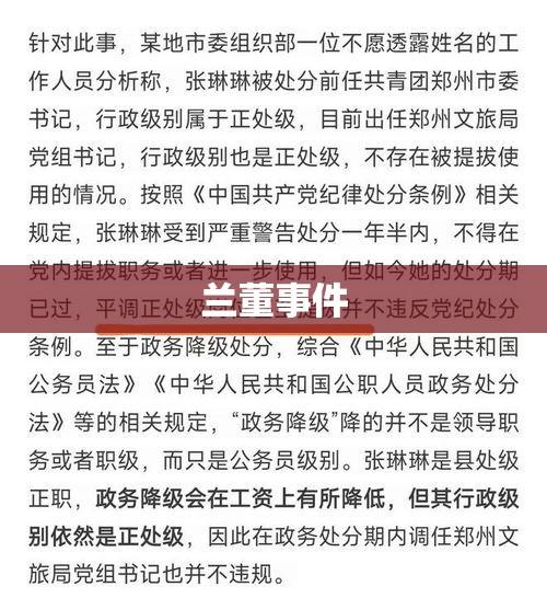 兰董事件深度探究与反思启示  第1张