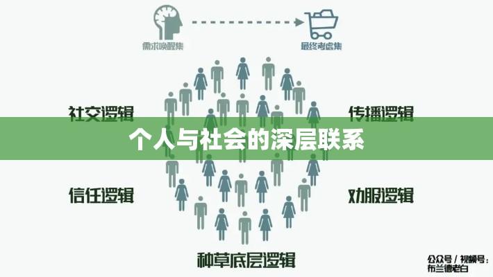 身份的多维解读，探寻个人与社会深层联系的探索之旅  第1张