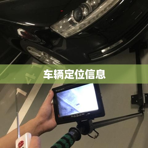 车辆定位信息查看指南，全面解析步骤  第1张