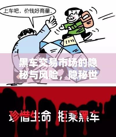 黑车交易市场的隐秘与风险，隐秘世界中的风险与挑战  第1张