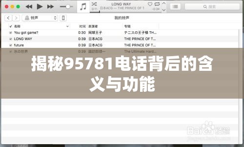 揭秘95781电话背后的含义与功能  第1张