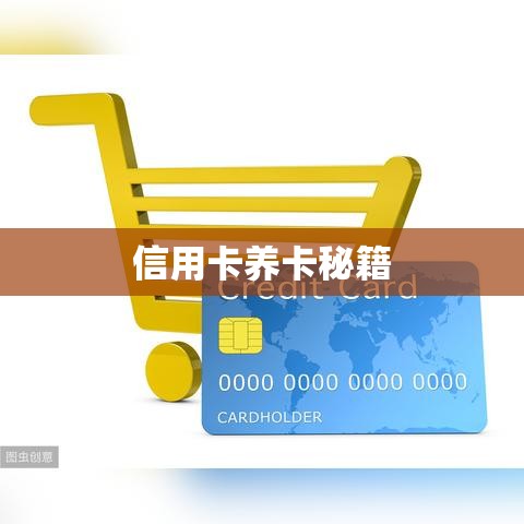 上海信用卡养卡秘籍，提升信用额度，保障财务健康之道  第1张