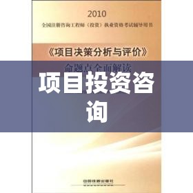 全方位解读项目投资咨询，从入门到精通的指南  第1张