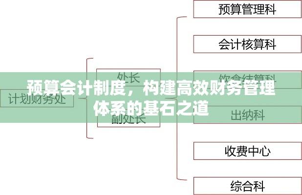 预算会计制度，构建高效财务管理体系的基石之道  第1张