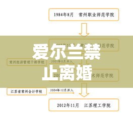 爱尔兰禁止离婚，历史沿革、现状分析与影响探究  第1张