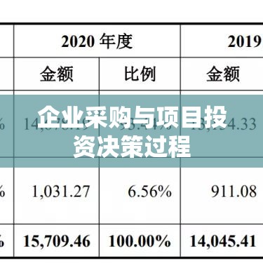 企业采购与项目投资决策过程的申购报告分析  第1张