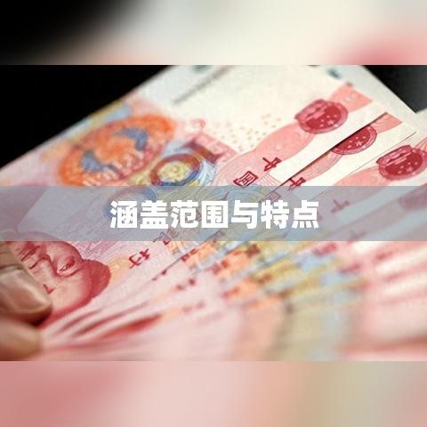 深度解析，其他货币资金的涵盖范围与特点  第1张