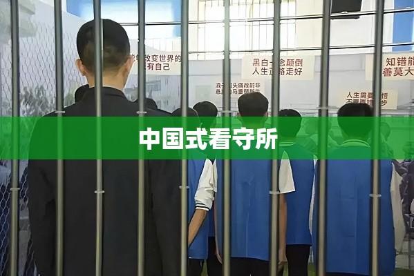 中国式看守所，历史沿革、现状解析与挑战应对  第1张