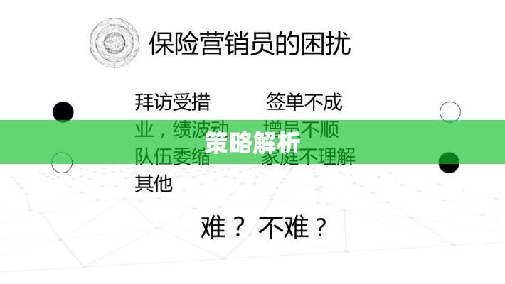 保险营销员的角色、挑战与策略解析  第1张