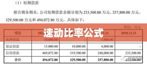 速动比率公式及其应用详解  第1张