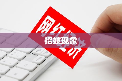 招妓现象，深度解析社会问题与应对策略  第1张