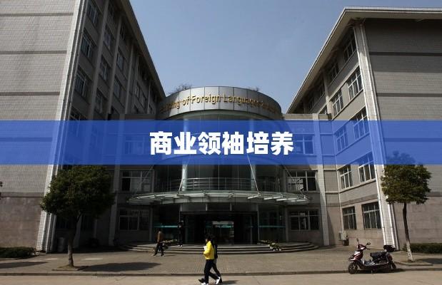 中南民族大学工商学院，商业领袖的摇篮之地  第1张