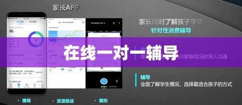 在线一对一，重塑教育与辅导的新模式  第1张