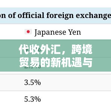 代收外汇，跨境贸易的新机遇与助力企业国际化发展  第1张