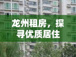 龙州租房，探寻优质居住之选  第1张