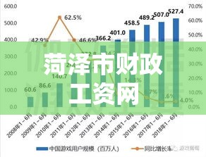 菏泽市财政工资网解读与探索，深度剖析工资系统奥秘  第1张