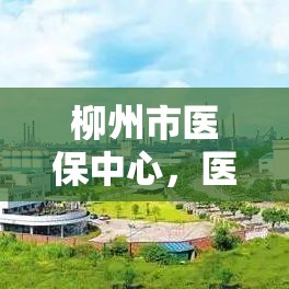 柳州市医保中心，医保服务的中坚力量  第1张