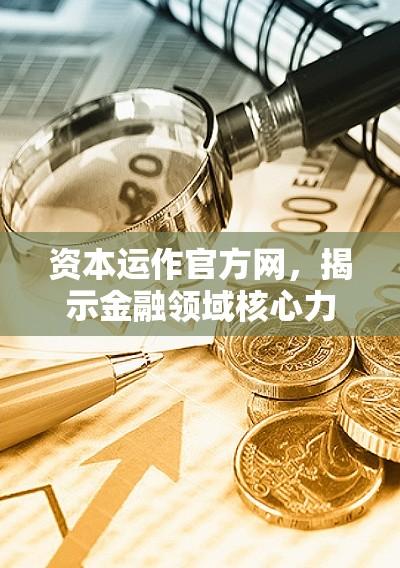 资本运作官方网，揭示金融领域核心力量的探索之旅  第1张