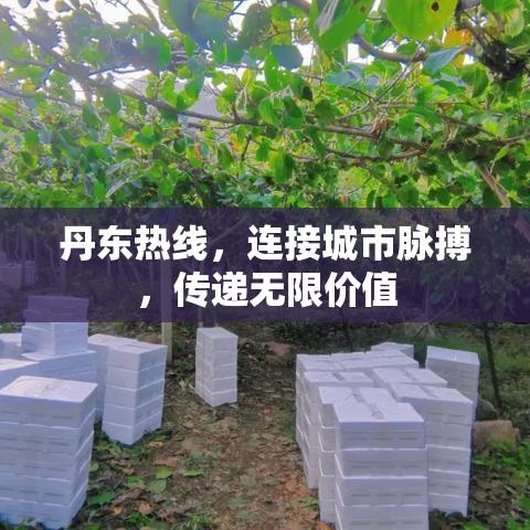 丹东热线，连接城市脉搏，传递无限价值  第1张